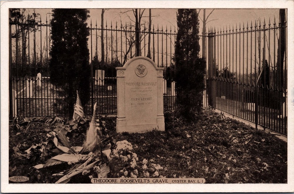 Theodore Roosevelt's Grave Oyster Bay NY - Lumi-Tone Photo Postcard
