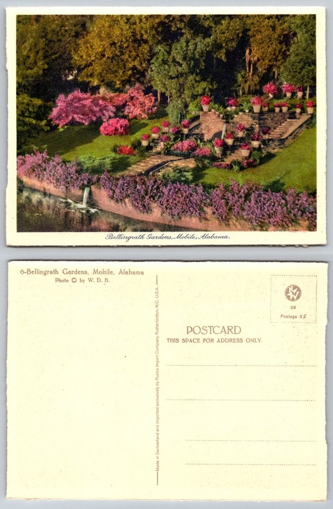 Bellingrath Gardens Mobile Alabama Vintage Chrome Postcard 1950s Flowers