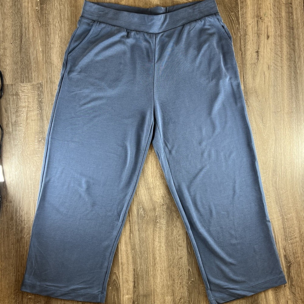Chico's Weekends Ankle Pants Ladies Size 2 Blue Pull on Knit Pockets Stretch