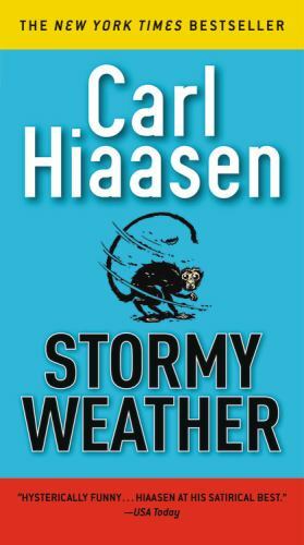 Stormy Weather by Hiaasen, Carl