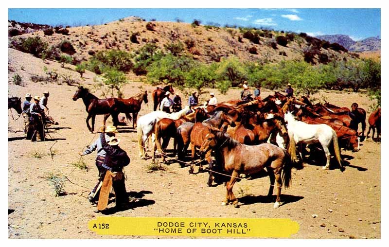 Postcard ANIMAL SCENE Dodge City Kansas KS m/09 AT5068
