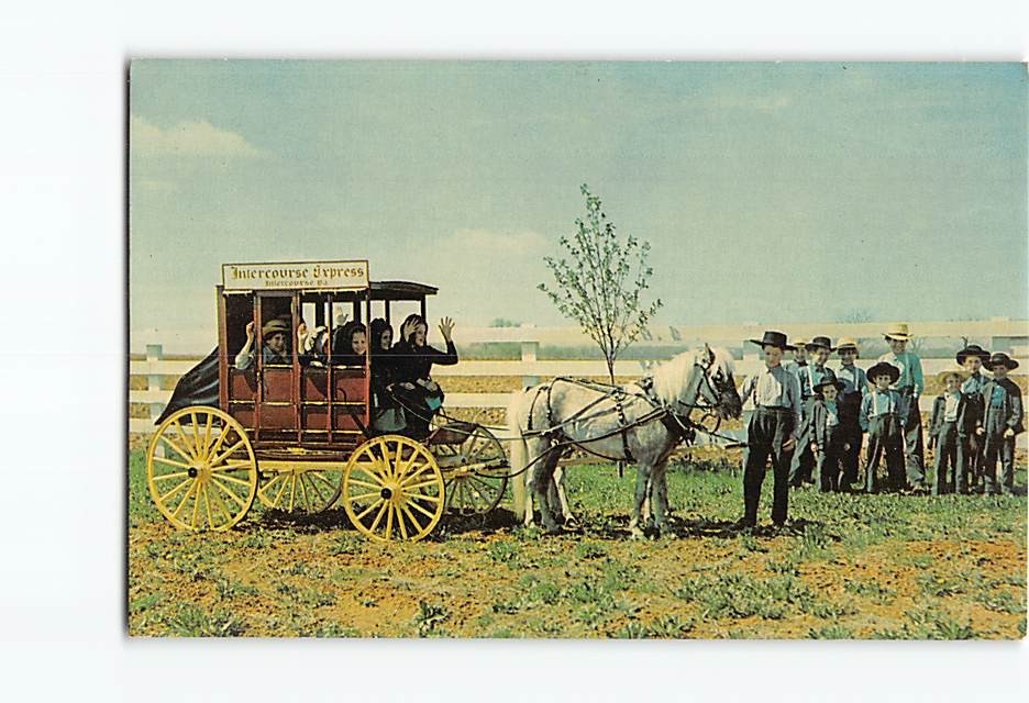 Postcard Group of Amish children Greetings From The Penna. Dutch Country PA USA