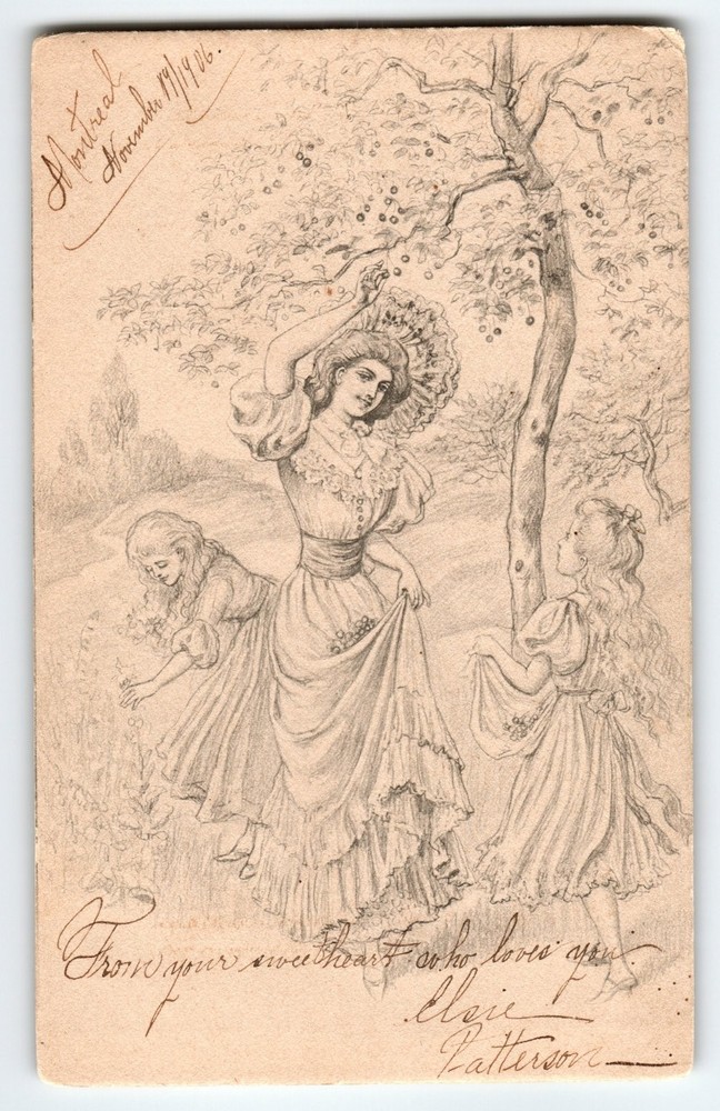 Antique 1906 Montreal Postcard Victorian Women Picking Fruit Amazing Art Antique