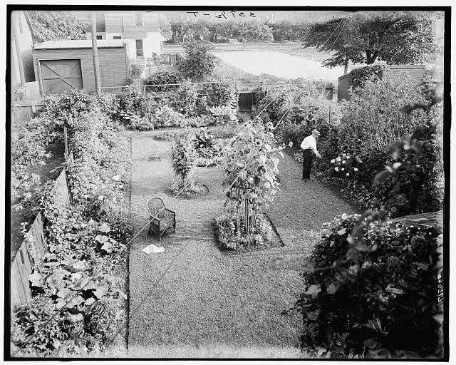 Photo:Detroit Michigan Garden at 124 E Euclid Ave 1900s Man in Yard