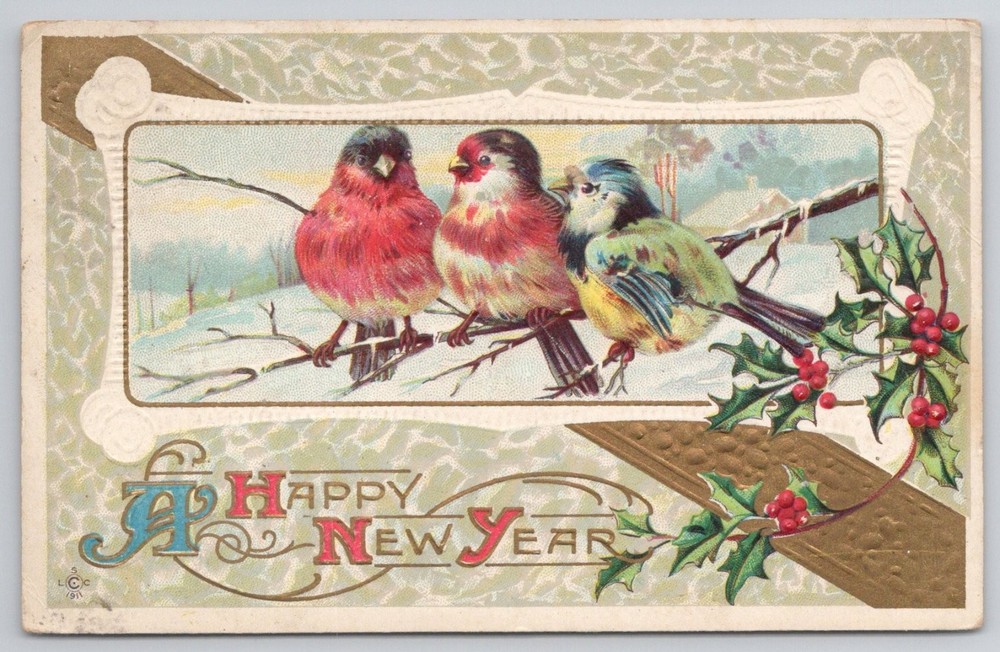 1916 Happy New Year Postcard Colorful Winter Birds Holly Embossed