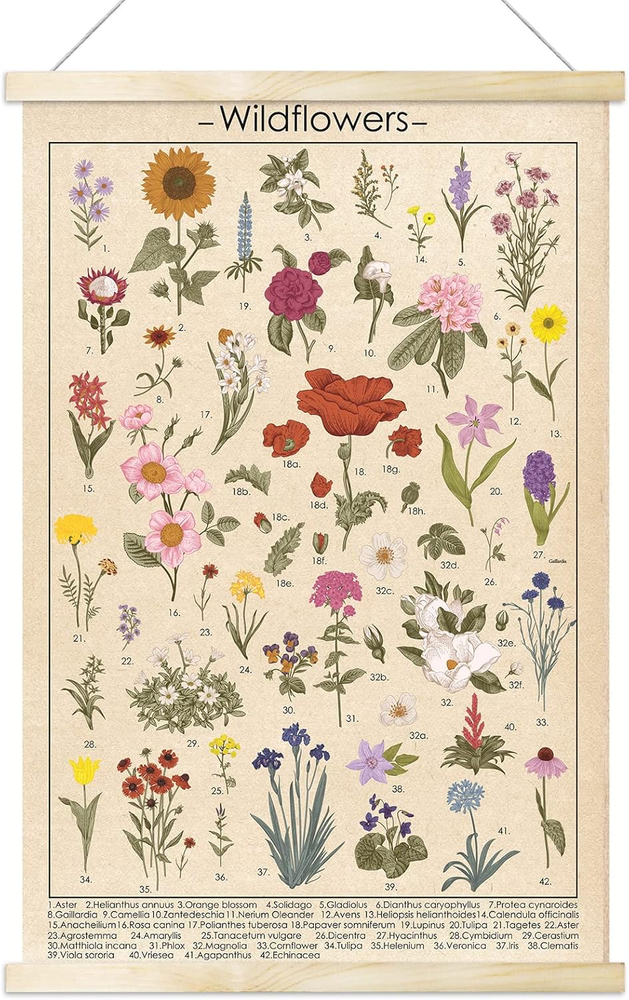 Vintage Wildflowers Poster Botanical Wall Art Prints Colorful Rustic Style of Fl