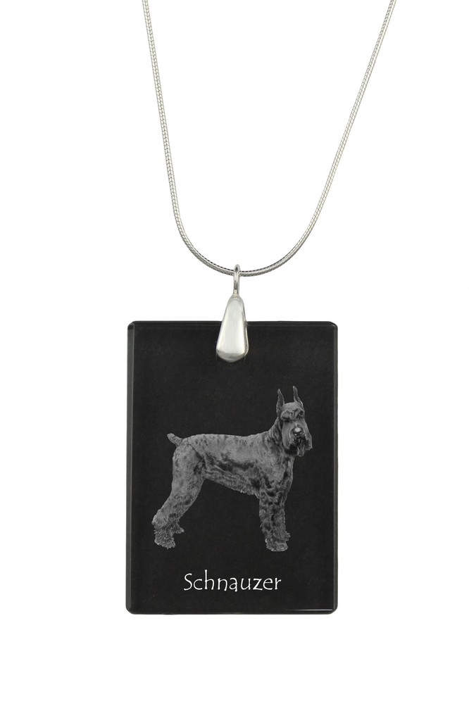 Schnauzer I - Crystal Pendant With Dog, Silver Necklace With Photo, Personalized