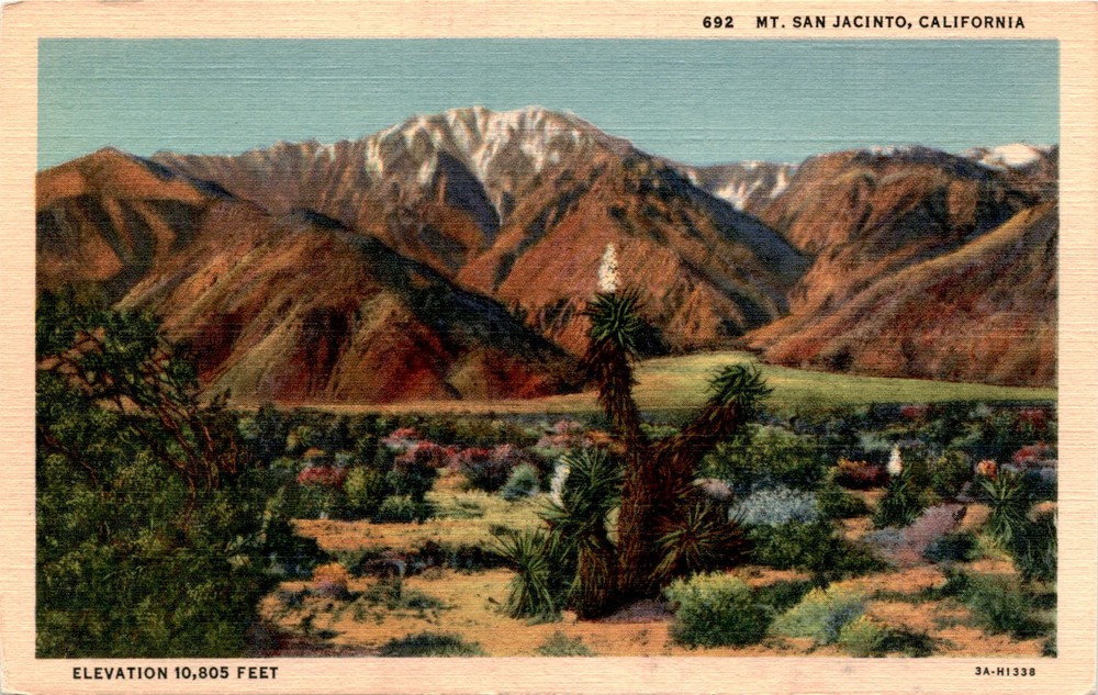 Mt. San Jacinto, California, Elevation 10,805 feet, Western Publishing Postcard