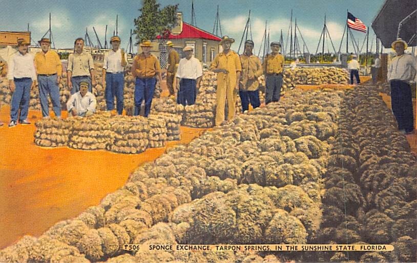 Postcard FL: Sponge Exchange Market, Tarpon Springs, Florida, Vintage Linen
