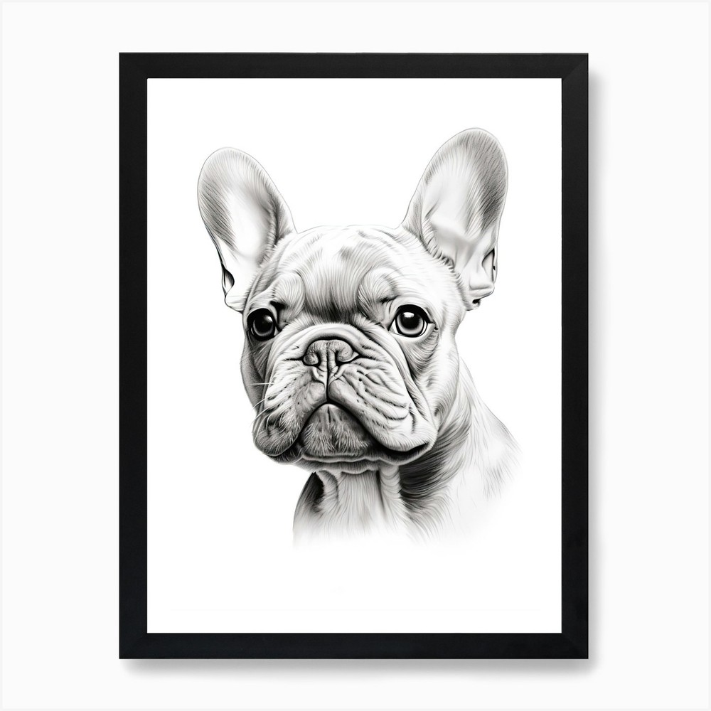 French Bulldog Line Drawing Framed Wall Art Canvas Print