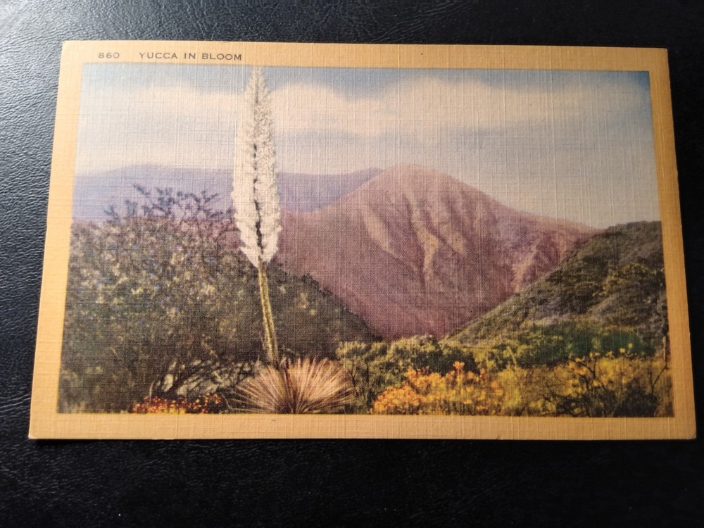 2 Vintage Postcards