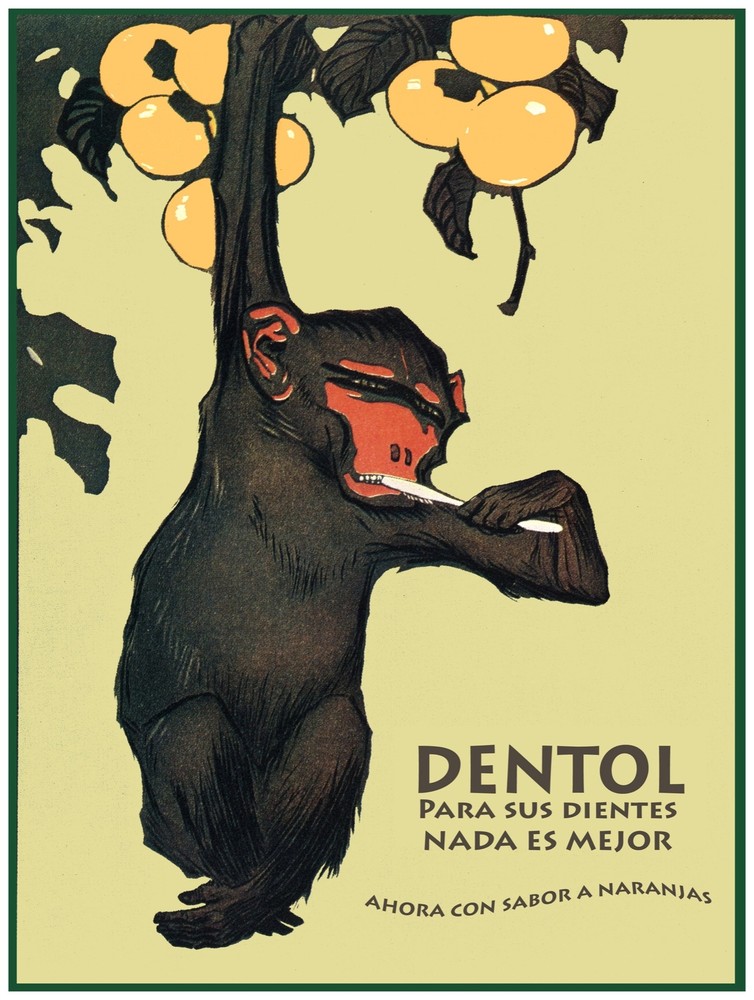 7604.Decoration Poster.Home Room wall design print.Dentol.Monkey brushing teeth