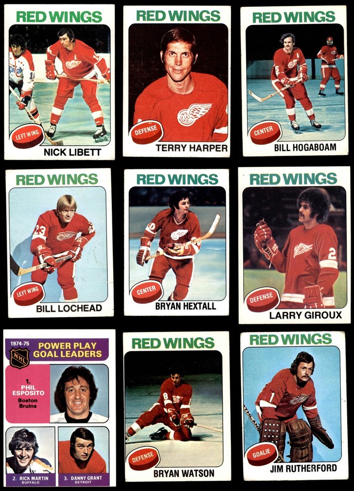 1975-76 Topps Detroit Red Wings Near Team Set 3 - VG 7209757 (17 / 19 cards)
