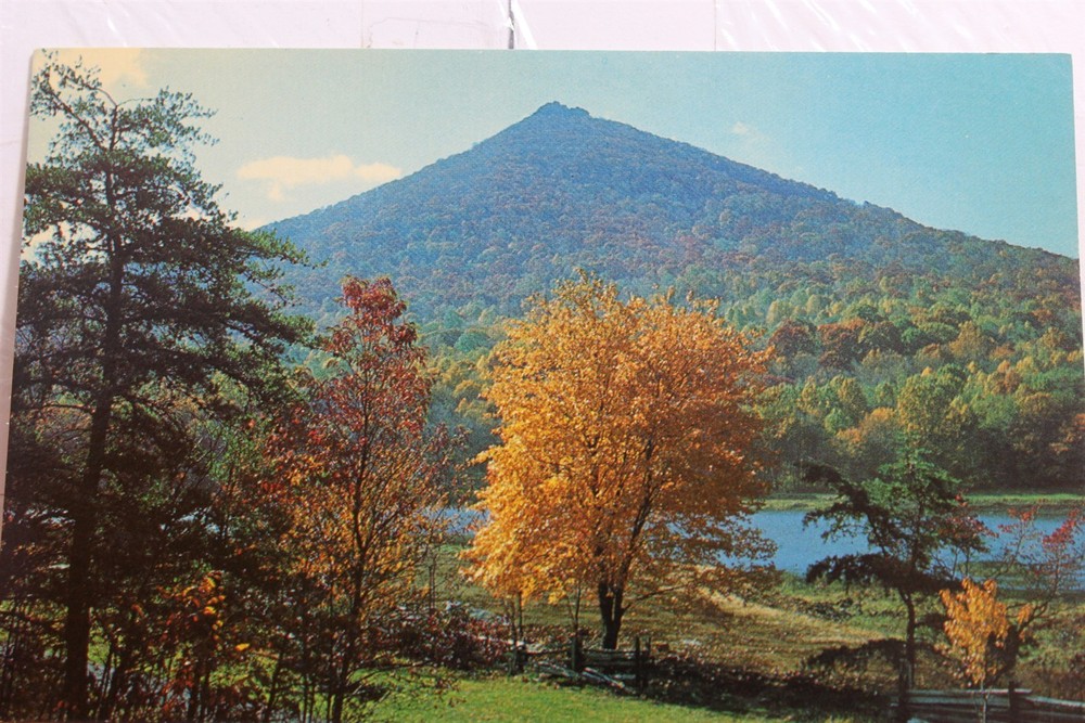 Virginia VA Blue Ridge Mountains Otter Lake Peaks Sharp Top Lodge Postcard Old