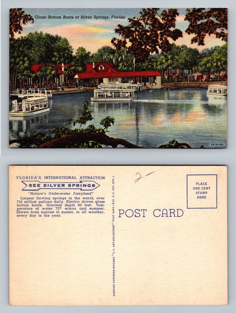 Silver Springs, FL-Florida, Glass Bottom Boats Dock Waterfront Vintage Postcard