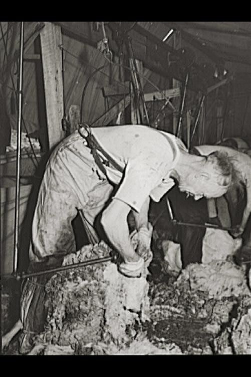 Sheep Ranch, Oregon, Farm Security Administration, May 1941, Malheur County, 1