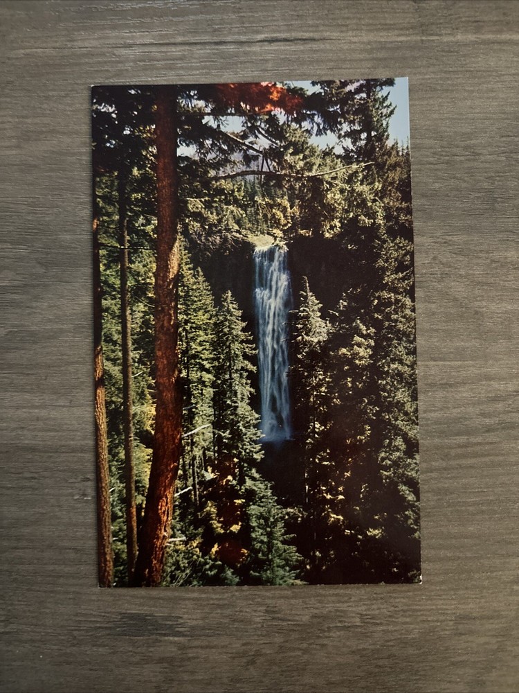 Vintage Postcard Salt Creek Falls Oregon Cascade Mountains