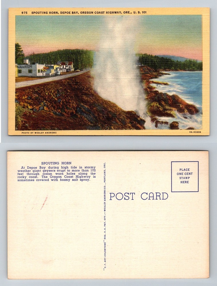 Depoe Bay OR-Oregon Spouting Horn Geyser Coast Highway U.S. 101 Vintage Postcard