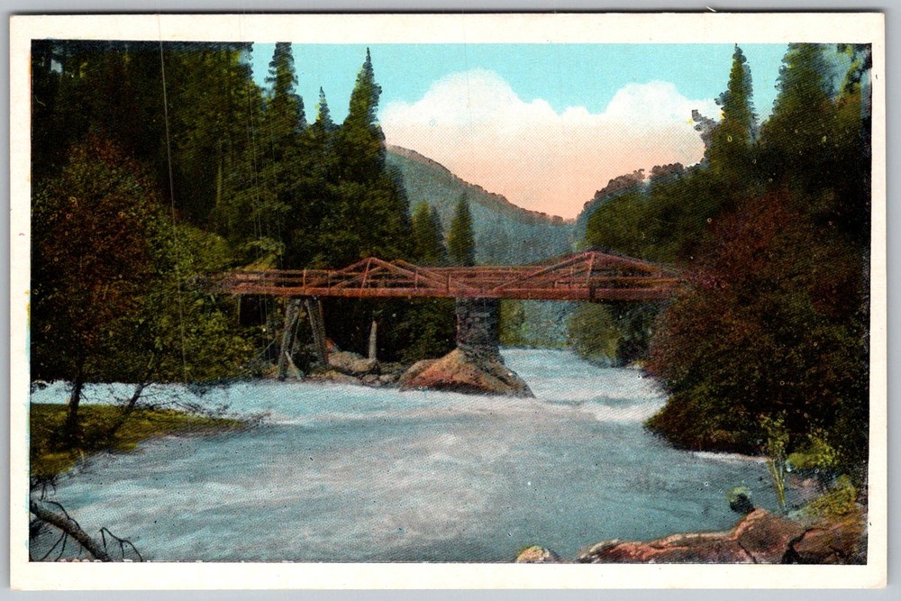 Antique Postcard Mountain River Bridge 1900s