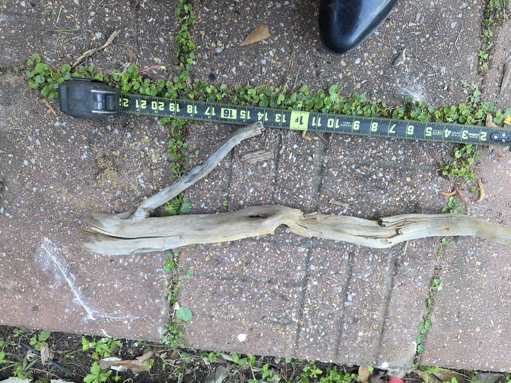 aquarium driftwood extra large