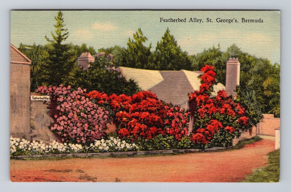 St. George's Bermuda, Featherbed Alley, Flower Gardens, Vintage Postcard
