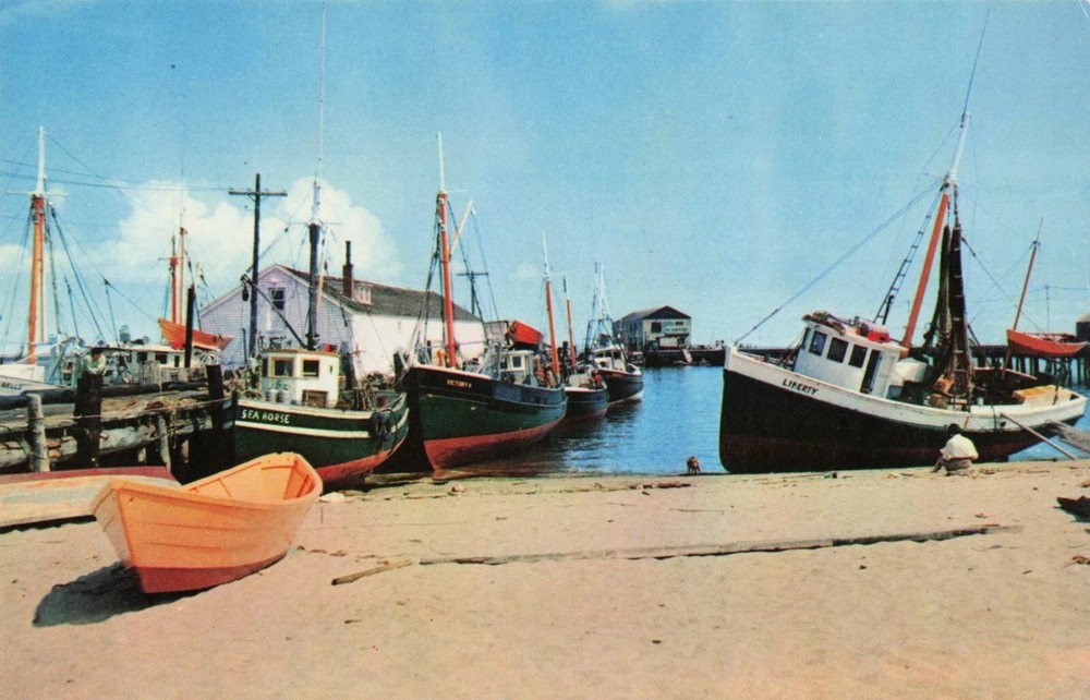 Fishing Boats at Town Pier - Provincetown Massachusetts MA Cape Cod - Postcard