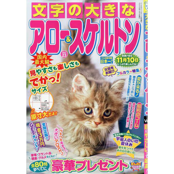 Arrow Skeleton Magazine July 2026 Issue Paper Publication Excellent Japan