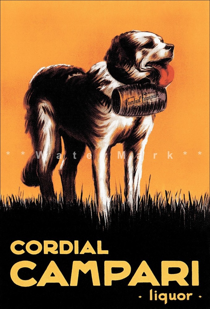 Vintage 1920 Campari Cordial St Bernard Dog Retro Liquor Poster Art