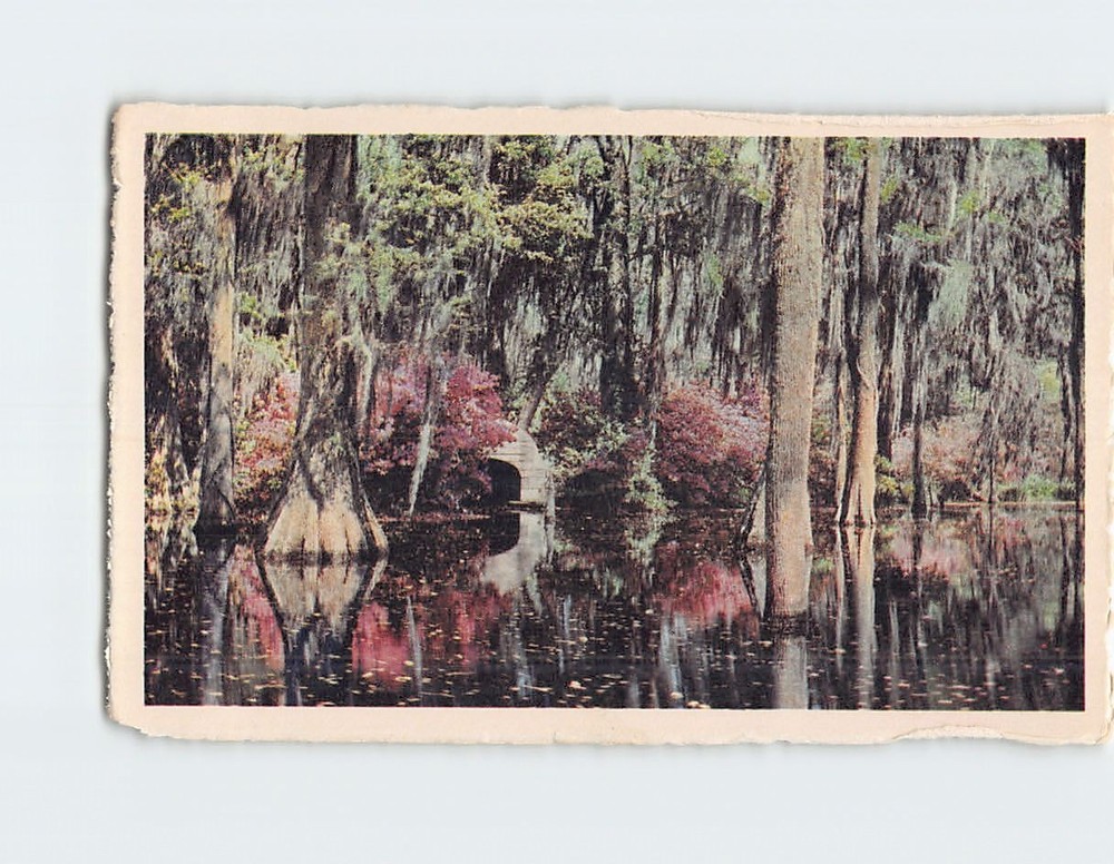 Postcard Cypress Gardens Oakley South Carolina USA