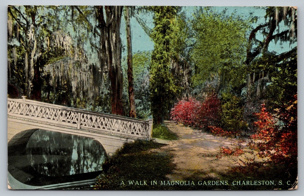 Postcard A Walk In Magnolia Gardens Charleston South Carolina SC Bridge c 1913