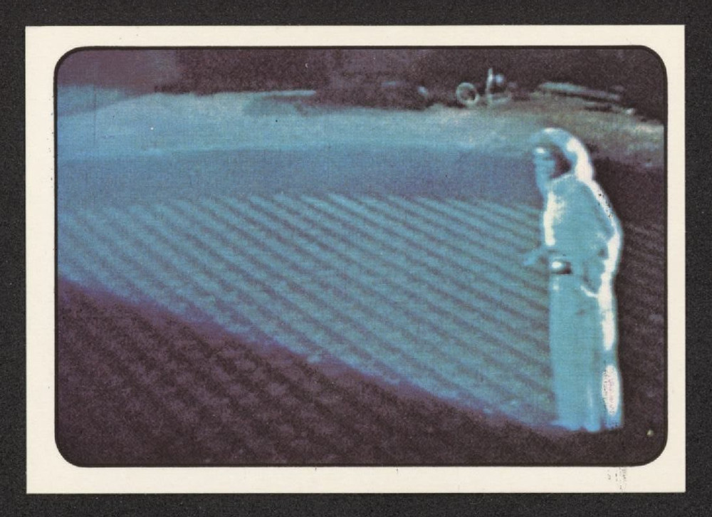 PRINCESS LEIA 1977 Panini Italy Star Wars Album Sticker Card #49