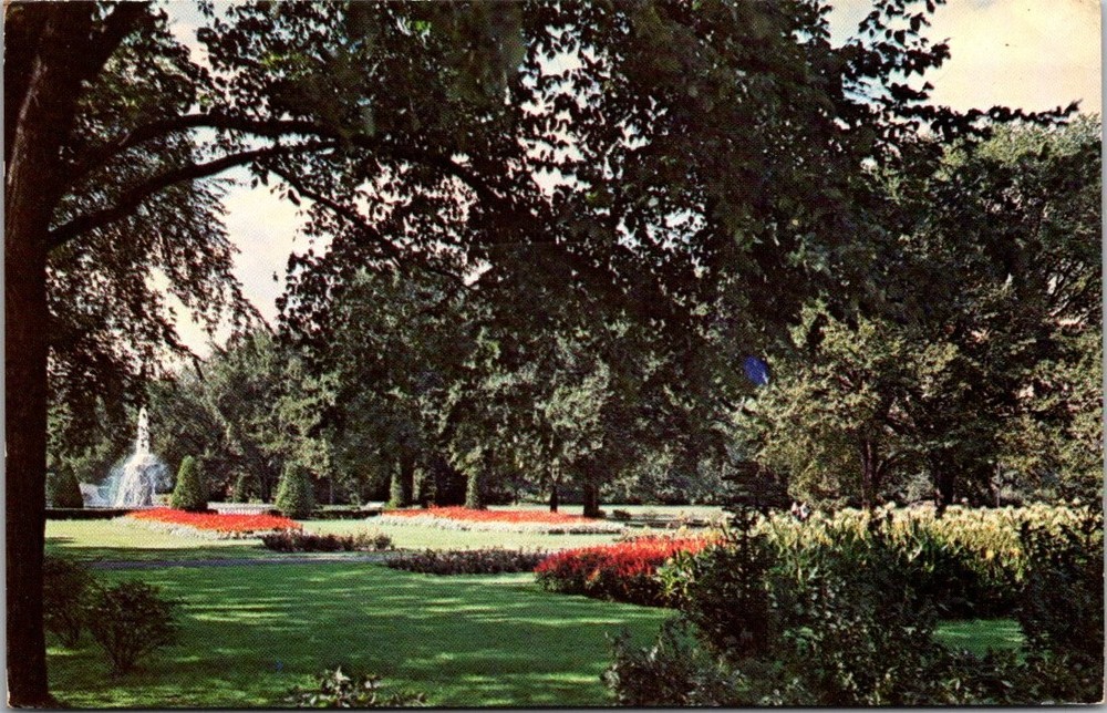 Detroit Zoo Mall Scene Postcard 1954 Royal Oak Michigan Floral Fountain Chrome