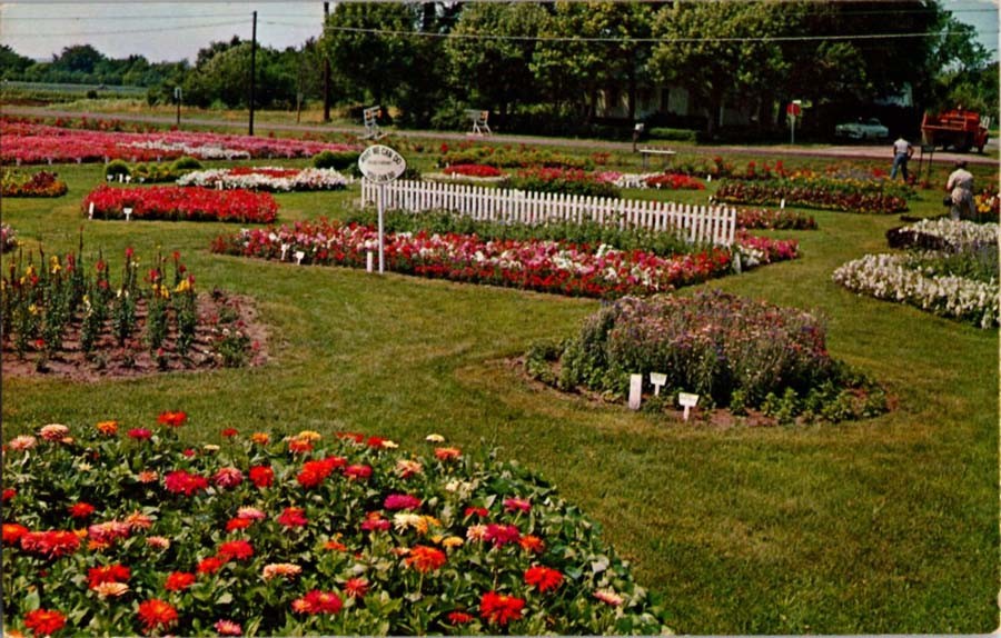 Shenandoah Iowa IA : GARDEN SCENE m/14 BA0278