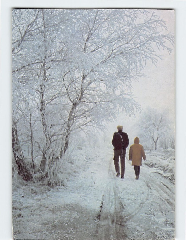 Postcard People Walking On The Road Trees Snow Scenery