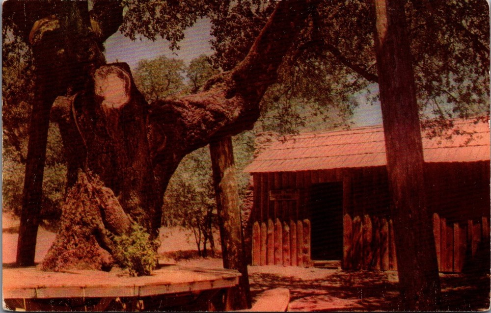 Mark Twain's Cabin Jackass Hill Angels Camp CA Union Oil Postcard