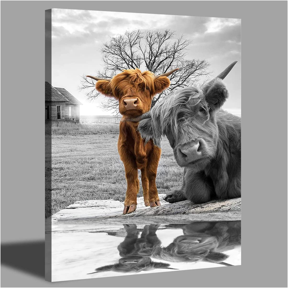 Highland Cow Canvas Wall Art Black and White Animal Print Pictures Highland Catt