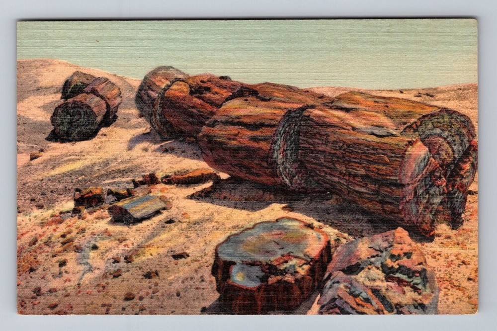 Arizona AZ Petrified Forest Giant Logs In Rainbow Forest Vintage Postcard