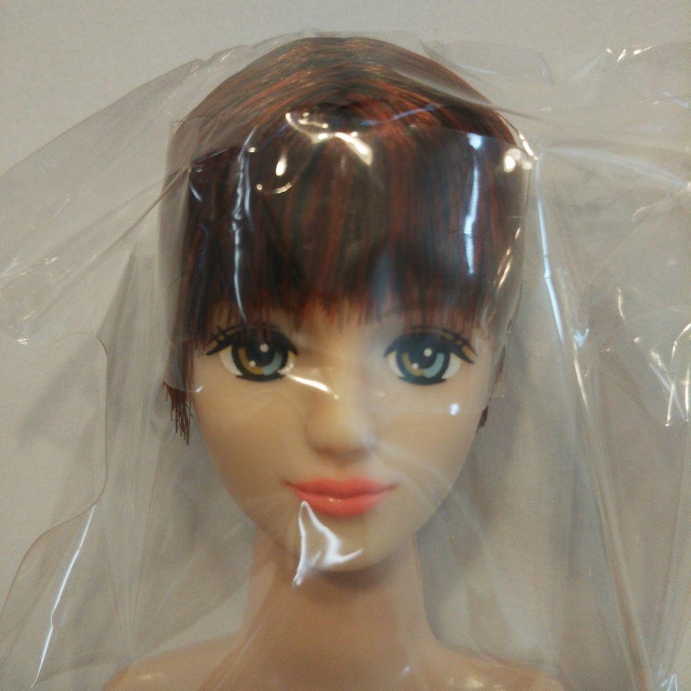 LICCA CASTLE 12-inch Fashion Doll with TAKUMI Friend Custom OOAK Collectible