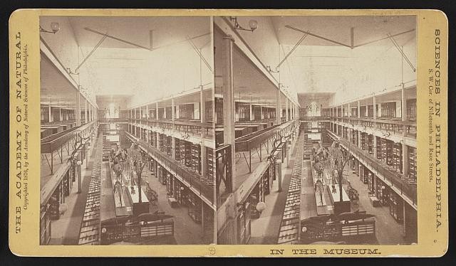 Photo:[Academy of Natural Sciences] - In The Museum.-image