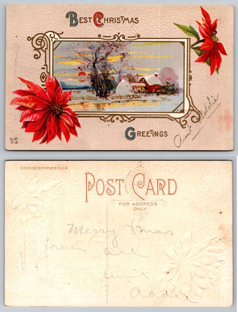Vintage Embossed Christmas Postcard 1910 E. Nash Winter Landscape Poinsettia