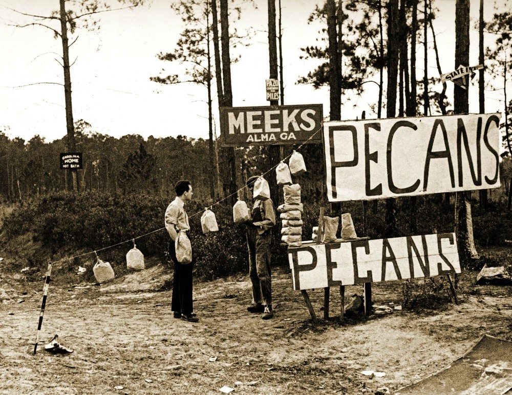 1937 Roadside Pecan Stand, Alma, Georgia Vintage Old Photo 8.5