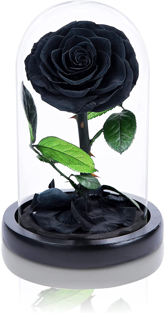 Handmade Preserved Roses in Glass Dome Valentines Day Gifts for Her, Black Real