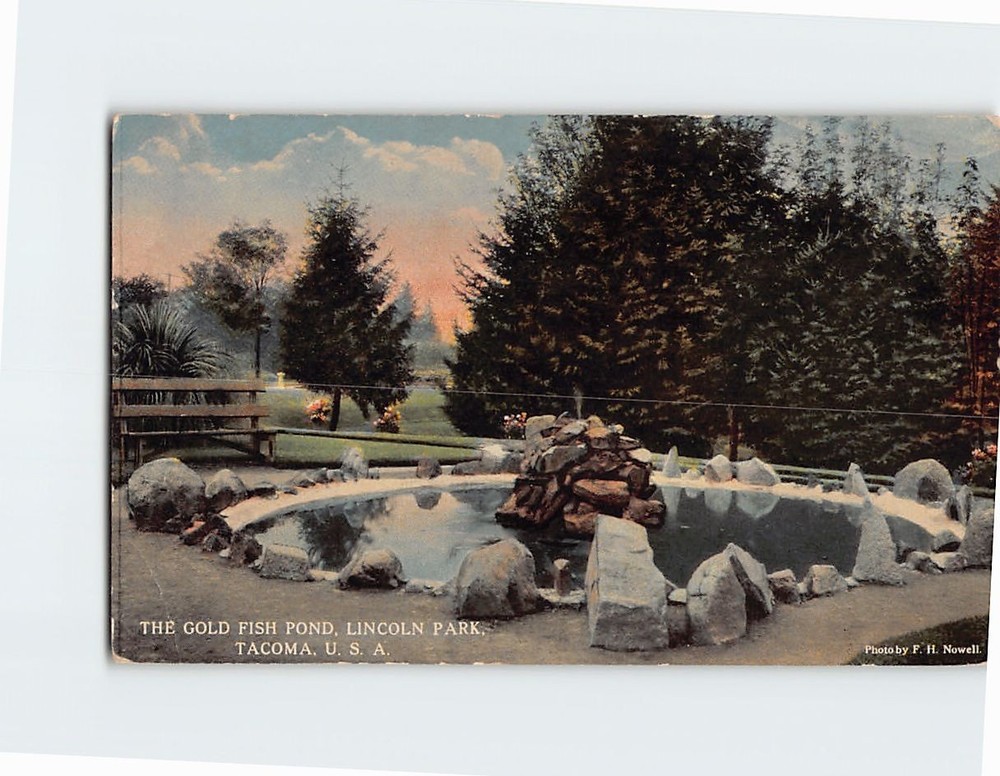 Postcard Gold Fish Pond Lincoln Park Tacoma Washington USA