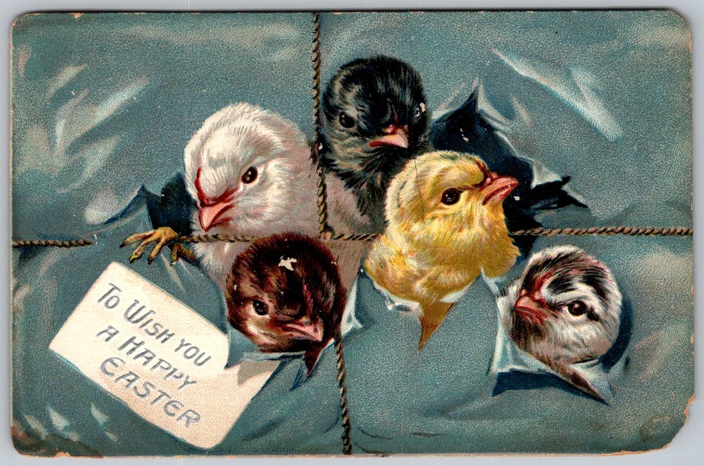 Antique Postcard Raphael Tuck Easter Chicks Hoboken, NJ 1900s