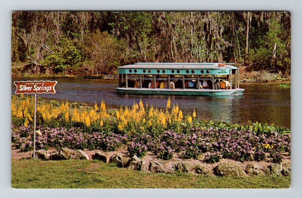 Silver Springs FL-Florida, Scenic Glass Bottom Boats, Vintage Postcard