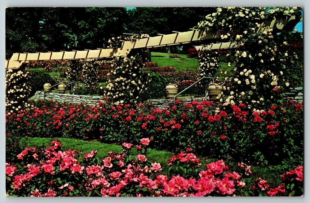 Postcard PA Hershey Rose Gardens & Arboretum Hershey, Pennsylvania Garden