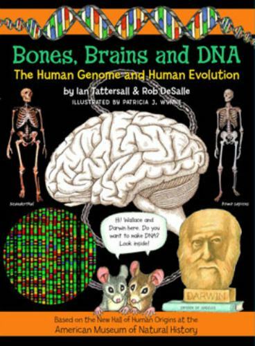 Bones, Brains and DNA : The Human Genome and Human Evolution by Ian. Tattersall