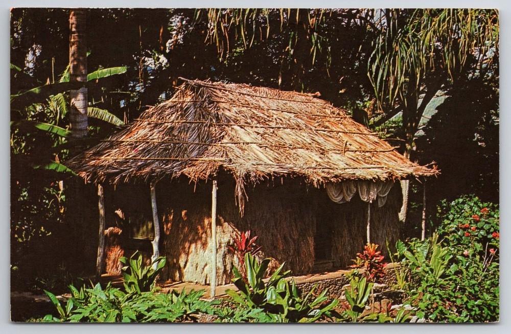 Tiki Waioli Tea Room Grass Hut Manoa Valley Honolulu Hawaii Postcard