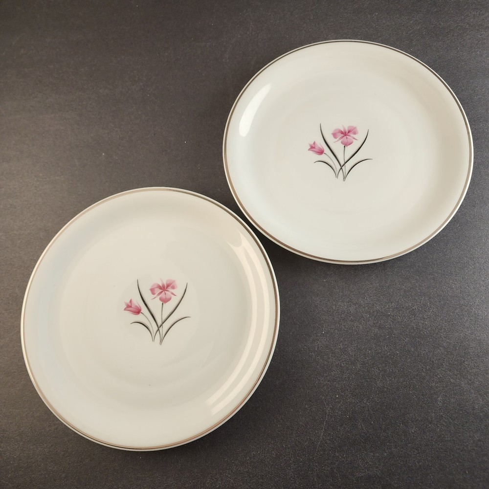 2 Salad Plates Caprice China Pattern by Easterling 8.25