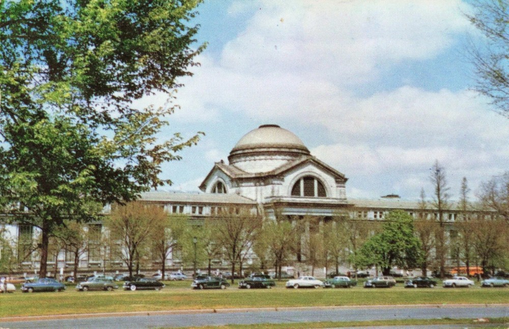 Natural History Building - Smithsonian Institution - Washington DC - Postcard